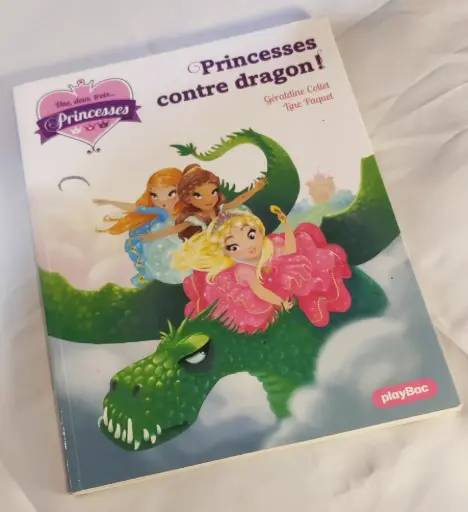 [PRIN-BON-VG-NB-0001] Princess contre dragon - French